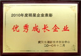 武漢時(shí)代地智科技股份 油田勘探開發(fā)軟件研發(fā)與技術(shù)服務(wù)的領(lǐng)航者