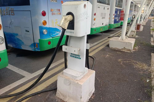 武漢充電樁公交車鋼膜結(jié)構(gòu)停車棚的照明設(shè)備設(shè)計(jì)